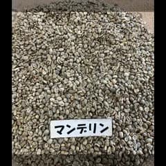 コーヒー生豆　マンデリンG-1　800g