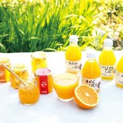 【令和8年7月31日までの期間限定商品です お中元】伊藤農園	100%ﾋﾟｭｱｼﾞｭｰｽ&ｼﾞｭﾚｷﾞﾌﾄｾｯﾄ	ITO-V-113