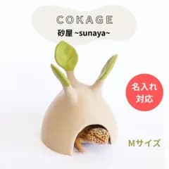 【爬虫類シェルター 砂屋 】多肉植物風 レオパ かわいい隠れ家 名入れ+690円