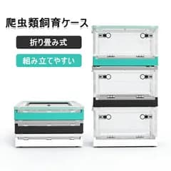 爬虫類 ケージ 折り畳み式 飼育ケージ 爬虫類 飼育ケース 小型 トカゲ ケージ 透明 亀 トカゲ クモ ヤモリ ハリネズミ サソリ ヘビ カエル ハムスター などの動物に適用 レオパ ヒョウモントカゲモドキ クレス クレステッドゲッコー ニシアフ