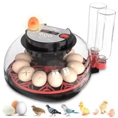 ☆新品☆自動孵卵器 インキュベーター 12卵 自動転卵/給水 デジタル表示 検卵ライト付き 温度・湿度管理 低騒音 孵化用アヒル うずら 鶏卵 鳥類専用 子供教育用 家庭用洗浄可能 簡単操作 日本語説明書付き (12卵)