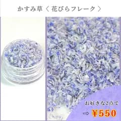 No.484 かすみ草　花びらフレーク　ドライフラワー