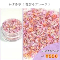 No.485 かすみ草　花びらフレーク　ドライフラワー