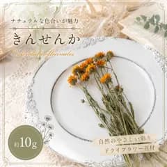 キンセンカ 約10g ドライフラワー 花材 小分け