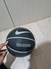 ナイキ ヤニス バスケットボール