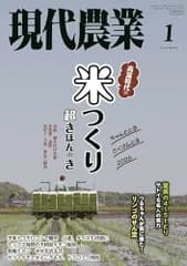 現代農業: 高温時代の米つくり 超きほんのき (2026年1月号)