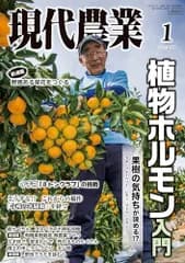 現代農業: 植物ホルモン入門 果樹の気持ちが読める!? (2025年1月号)