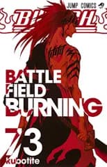 BLEACH―ブリーチ― 73 (ジャンプコミックス)／久保 帯人