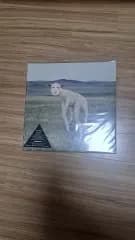 ソナップル animal lp