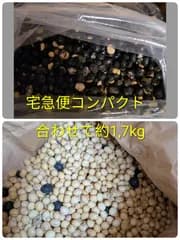 令和7年産 クズの豆 大豆と黒豆 合わせて 約1､7㎏