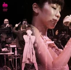 第一回林檎班大会の模様 [DVD]