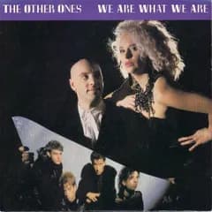 7” Other Ones We Are What We Are VS1363 Virgin /00080