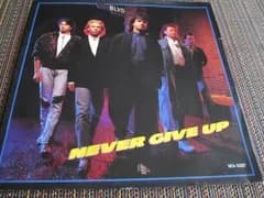 7” Boulevard Never Give Up MCA53297 MCA Records /00080