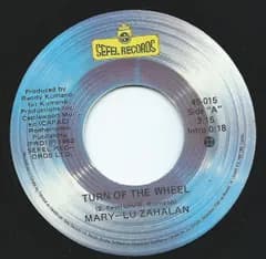 7” Mary Lu Zahalan Turn Of The Wheel 45015 Sefel Records /00080