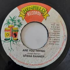 7” Spana Banner Are You Trying ENFD006 Henfield Records /00080