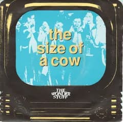 7” Wonder Stuff Size Of A Cow GONE11 Polydor /00080