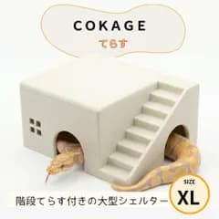 【爬虫類シェルター てらす XL】アイボリー色 大型 ヤングボールパイソン コーンスネーク 大きい かわいい ヘビ