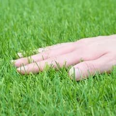 【在庫処分】バルコニー 屋上 ベランダ テラス 耐候級最上位5級 U字固定ピン24本入り 水よけ 90㎝幅 マンション 芝丈30mm ペット 0.9×10m 芝生 人工芝 CY6B-30910P(GR) ガーデンマスター(Gardenmaster)