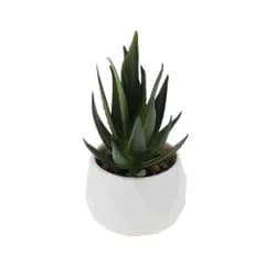 新品 CAPASTEC フェイクグリーン インテリアグリーン 多肉植物 人工 お世話不要 卓上 ミニ 鉢植え デコレーション 装飾 かわいい 玄関 デスク バスルーム キッチン Type 9