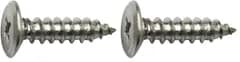 新品 ダイドーハント(DAIDOHANT) 超低頭 タッピング ねじ [木材・薄鋼板用] ステンレス (呼び径d)3mm x (長さL)16mm (入数:12本) 10179201 (× 2)