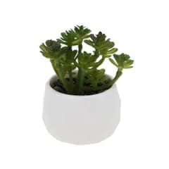 新品 CAPASTEC フェイクグリーン インテリアグリーン 多肉植物 人工 お世話不要 卓上 ミニ 鉢植え デコレーション 装飾 かわいい 玄関 デスク バスルーム キッチン Type 5