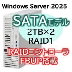 【新品・2営業日で発送】NEC 日本電気 Express5800／D／T110m-S Xeon 6315P 4C／16GB／SATA 2TB*2 RAID1 FBU／電源*2／W2025／タワー 3年保証(NP8100-3024YQRY)