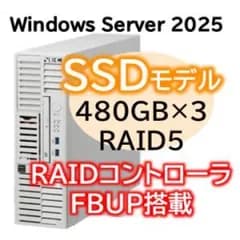 【新品・2営業日で発送】NEC 日本電気 Express5800／D／T110m-S Xeon 6315P 4C／16GB／SSD 480GB*3 RAID5 FBU／電源*2／W2025／タワー 3年保証(NP8100-3024YPYY)