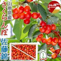 さくらんぼ 佐藤錦 約1kg さとうにしき 山形県産 M-Lサイズ バラ詰め 赤い宝石 サクランボ｜父の日 フルーツ お中元・お見舞い・お供え・高級果物・贈答用・ギフト