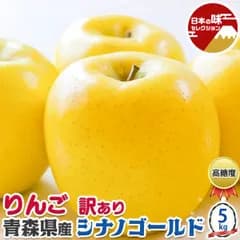 訳あり りんご 青森 シナノゴールド 5kg【クール便】林檎 家庭用 お買い得品 家族へのプレゼント お試し ご家庭用 糖度保証 SDGS 果物 フルーツ アップル