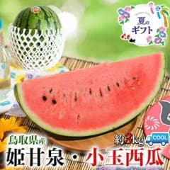 鳥取 姫甘泉 すいか 小玉 西瓜 3kg【クール便指定・鳥取県産西瓜】お中元 家庭用 スイカギフト 