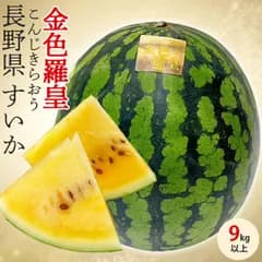 TVで紹介！ スイカ 信州 こんじきらおう 西瓜 金色羅皇 1玉 9kg以上 長野県産 希少 限定 高糖度 ｜段ボール 贈答用 ギフト 高級フルーツ 果物 贈物 プレゼント