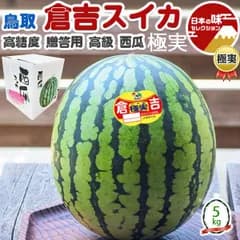 夏ギフト 大玉 すいか 鳥取県 倉吉 西瓜 極実 ごくみ 5kg以上 希少 限定 高糖度 ｜段ボール 贈答用 ギフト 高級フルーツ 果物 贈物 プレゼント