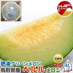 ペルル メロン（ 肥後グリーンメロン 鳥取県産）4Lサイズ 化粧箱 1玉入 高糖度 マスクメロン ネットメロン ギフト 贈物 フルーツ 夏ギフト お中元