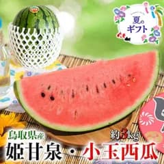 鳥取 姫甘泉 すいか 小玉 西瓜 3kg【鳥取県産西瓜】お中元 家庭用 スイカギフト 