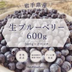 achiko様専用　クール便発送【岩手県産】生ブルーベリー 約600g（300g×2パック）