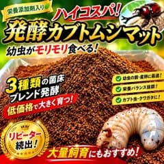 カブトムシ幼虫を低コストで大きくしたい方に！ ハイコスパ発酵カブトムシマット【80リットル】クヌギとコナラのミックスオガからできたオオヒラタケ、椎茸、キクラゲ、ナメコの菌床を粉砕しブレンドして5ヶ月間じっくりと発酵！　栄養添加剤も５種類配合しています