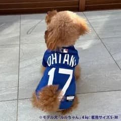 犬の洋服 送料無料・新品　送料無料・新品　犬の洋服　ＭＬＢ公式　ドジャース大谷翔平選手ユニホームＸＳサイズ　（サイズは大きめです）