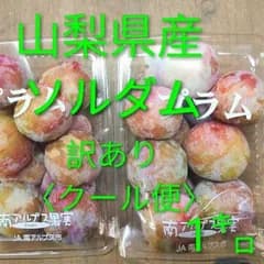 山梨県産  完熟ソルダム  約1㌔  訳あり(Mサイズ)〈クール便〉