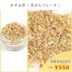 No.487 かすみ草　花びらフレーク　ドライフラワー