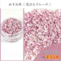 No.488 かすみ草　花びらフレーク　ドライフラワー