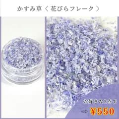 No.489 かすみ草　花びらフレーク　ドライフラワー
