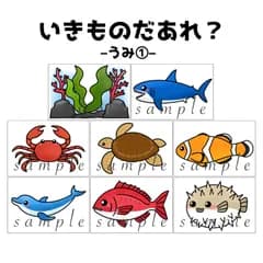 カードシアター「いきものだあれ？–海①–【ハガキサイズ】」ほいく保育教材お誕生日会★