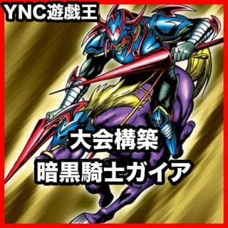 暗黒騎士ガイア デッキ【以下検索 遊戯王 本格構築 初期 2期 レリーフ ゲートボール デッキパーツ 灰流うらら 竜騎士ガイア】、 1枚