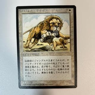 MTG サバンナ・ライオン 4ED 黒枠 日本語 1枚