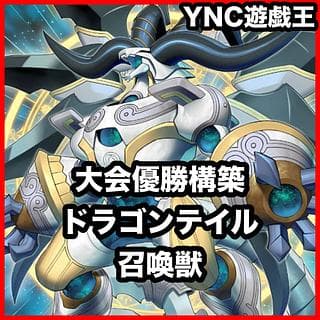 召喚獣 ドラゴンテイル デッキ【遊戯王 本格構築 追憶のアレイスター 星辰砲手ファイメナ マルチャミーフワロス 超越召喚獣アイオーン 召喚獣マギストスセリオン 精霊コロゾ 星辰爪竜アルザリオン フルールドバロネス】③ 1枚