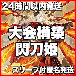 閃刀姫デッキ【以下検索 閃刀亜式'レムニスゲート リンゲージ レイ カガリ 遊戯王 本格構築 初期 2期 レリーフ ゲートボール】 1枚