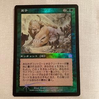 MTG Foil 里子/Foster MMQ R 日本語版1枚 1枚