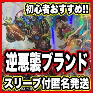 赤緑ギャラクシー デッキ【以下検索 デュエルマスターズ デュエマ ドキドキつよいデッキ 25の王道 本格構築 絶闘乱襲ブランド】 1枚